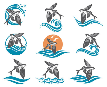 collection of flying fish images with waves