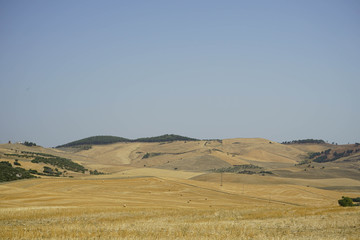 Fototapeta na wymiar Hay bales in the countryside
