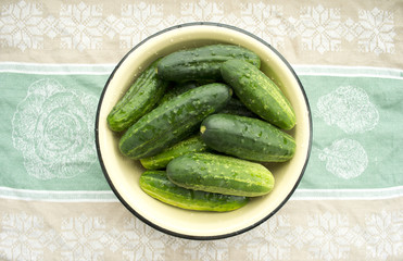 Green cucumbers in a plate