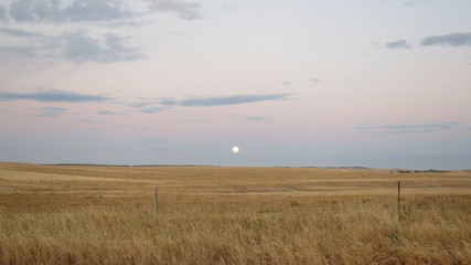 Fototapeta premium Sunset