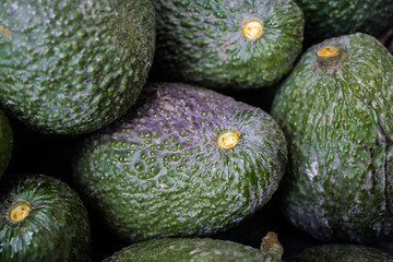 avocados
