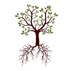 Color Tree with Roots. Vector Illustration.