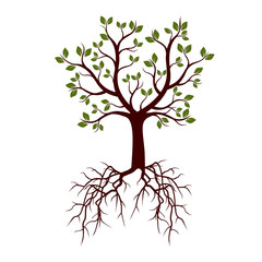 Obraz premium Color Tree with Roots. Vector Illustration.