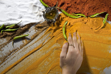 Green chili with spices 