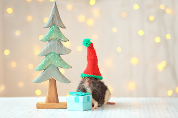 Cute rat in hat near decorative Christmas tree and small gift on table against defocused lights