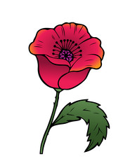Cartoon vector illustration of an oriental red poppy