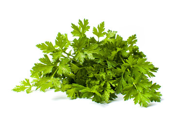 Parsley leaves bouquet isolated on white