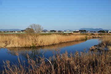 川が見える風景/福岡県朝倉市小石原川