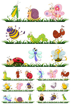 Different types of insects on grass