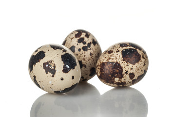 quail eggs isolated on white background