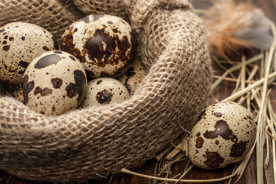 quail eggs in burlap sack over dark wooden background