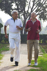 Fototapeta premium Old men going for a walk 