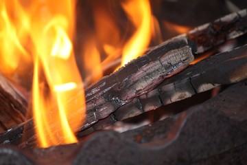 During Wood