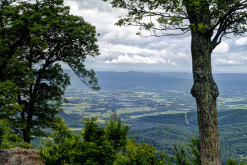 View from the Shenandoah Parkway Tree Right