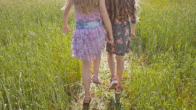 Two sisters with long curly hair walking around the field with wheat on a warm sunny day
