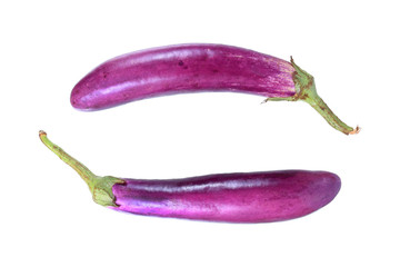 long purple eggplant isolated on white