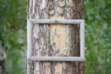 Рамка © mare__25