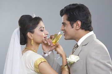 Portrait of a Bride and Bridegroom