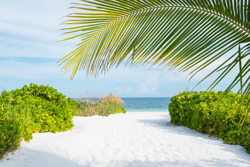 Abaco Island, Bahamas 