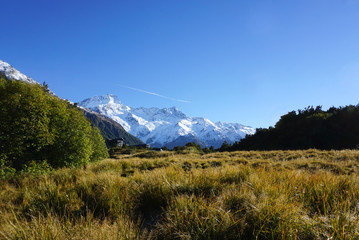 Beautiful landscape of the meadow along the road in New Zealand