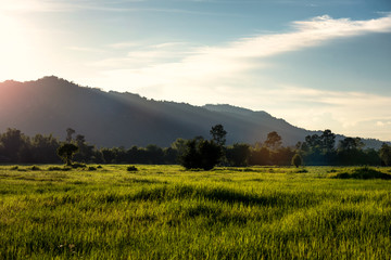 Mountain view field, sunset