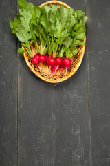 Red european radishes / Red radish / Red natural european radishes on a black background