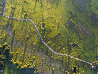 Aerial view ; Rows of soil before planting.Furrows row pattern in a plowed field prepared for...