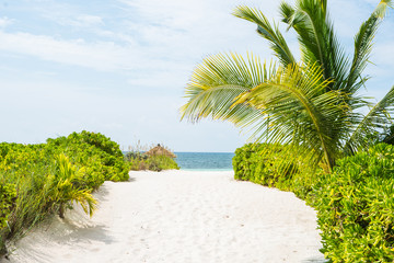 Abaco Island, Bahamas 