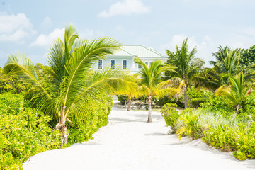 Obraz premium Abaco Island, Bahamas 