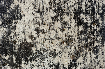 grunge cement texture background