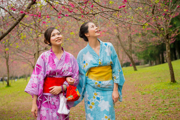 beautiful japanese female students wearing kimono