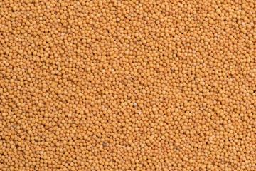 Raw mustard seed background