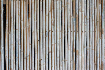 Bamboo fence wall background and texture.