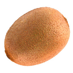 One kiwi isolated on white