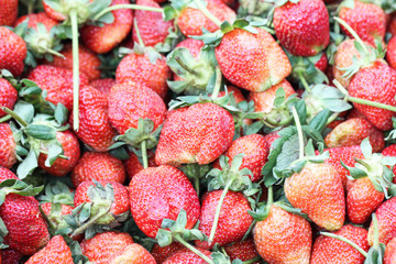 Close Up Fresh Red Strawberry Background