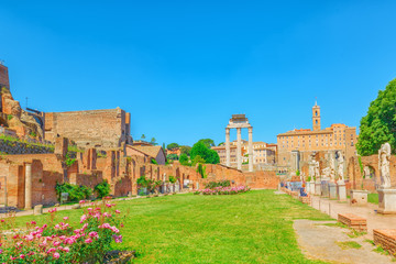 Archaeological and historical objects in Rome, united by the name - Roman Forum and Palatine Hill....