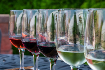Glasses lined up for a wine tasting