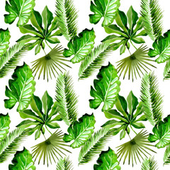 Tropical Hawaii leaves palm tree pattern in a watercolor style. Aquarelle wild flower for background, texture, wrapper pattern, frame or border.