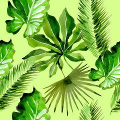 Tropical Hawaii leaves palm tree pattern in a watercolor style. Aquarelle wild flower for background, texture, wrapper pattern, frame or border.
