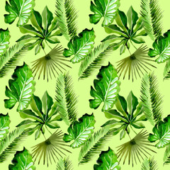 Tropical Hawaii leaves palm tree pattern in a watercolor style. Aquarelle wild flower for background, texture, wrapper pattern, frame or border.