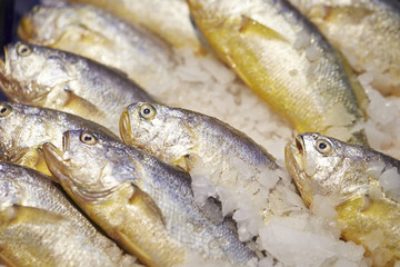 fish market