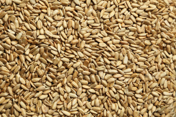 Sunflower seeds background