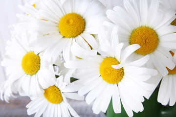 Bouquet of chamomile flowers