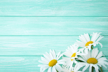 Chamomile flowers on mint wooden table