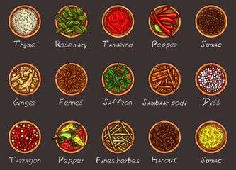 Vector illustration of a variety of spices and herbs in wooden bowls on a black background, top view. Template, design element
