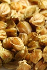 Ripe and sweet physalis background, close up