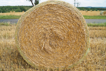 hay