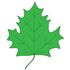 Maple leaf green sign 1.07