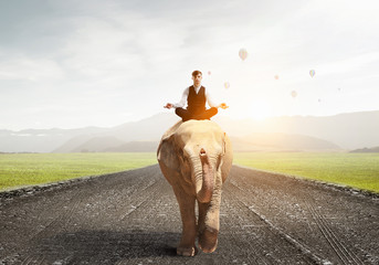 He possesses animal strength and power . Mixed media