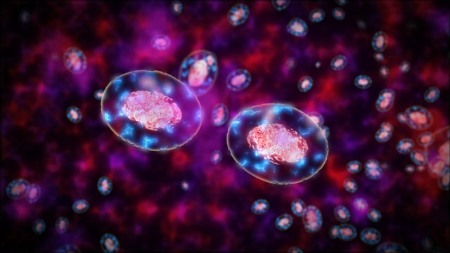 Two bacteria or germs or cells againt each other.